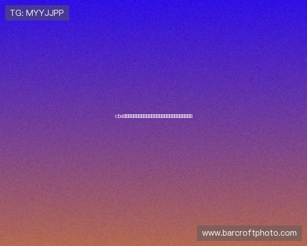 cba常规赛最新战况解析争冠格局与季后赛席位暗流涌动升温中心