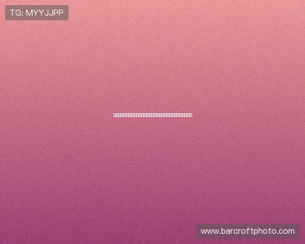 今日足球比分全景盘点焦点赛事结果走势与冷门解析亮点回顾深度观察