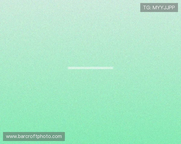 基于足球模拟选号软件的智能预测分析与实战应用研究趋势优化方案