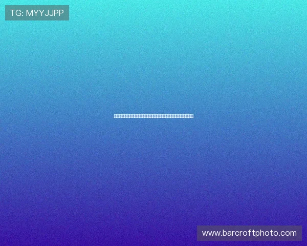 樊振东领衔欧冠赛程全解析关键对决时间看点前瞻与争冠走势深度观察