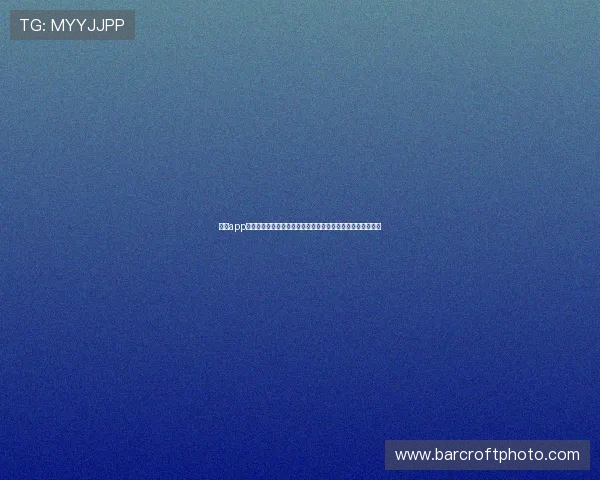 神器app赋能日常生活的全能效率工具与智慧体验平台新一代数字助手