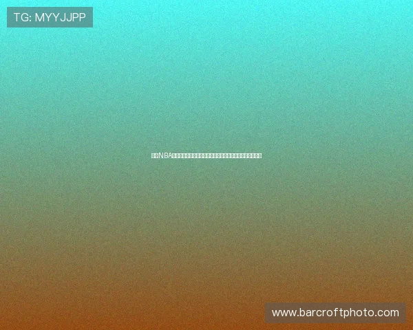 蜘蛛NBA直播观看技巧全解析助你流畅追赛不踩坑高清稳定省心指南