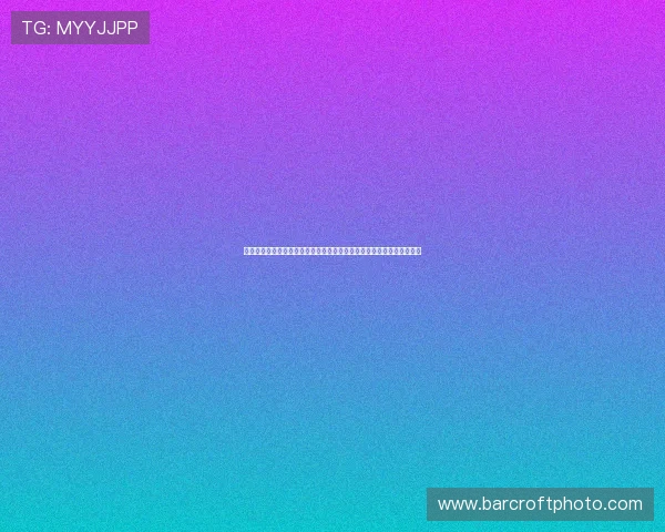 鲸体育安卓版下载官方渠道指南安全高速畅享赛事体验最新稳定版本推荐