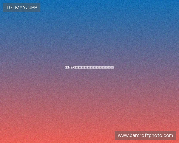 雨燕NBA直播免费观看直播在线平台高清赛事全覆盖实时更新稳定流畅