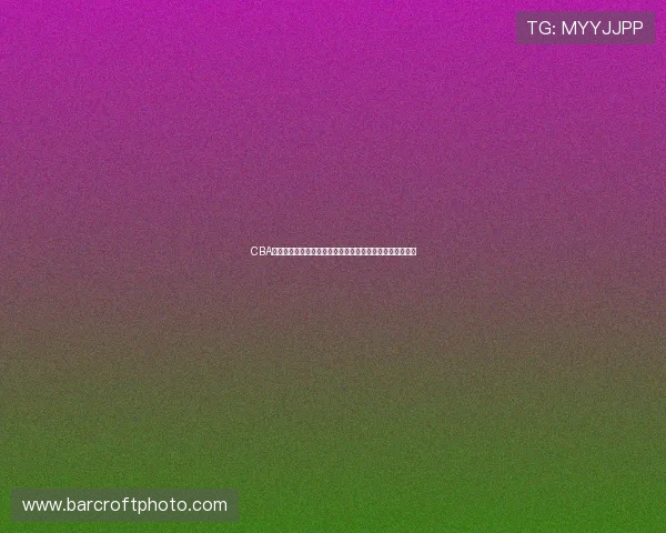 CBA无插件体育直播平台全面解析，畅享高清实时赛事观看体验