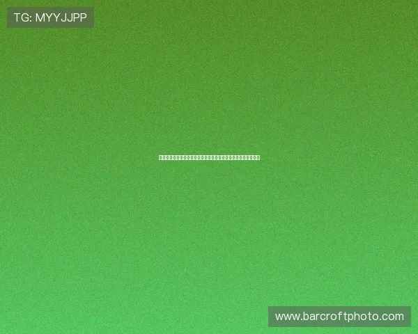 《快手平台看电视剧全攻略：如何快速找到热门剧集并畅享观看》