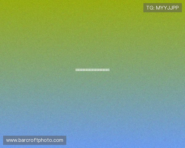 九球体育小仙儿精彩技巧展示球技挑战赛全程回顾 九球体育小仙儿精彩技巧展示球技挑战赛全程回顾