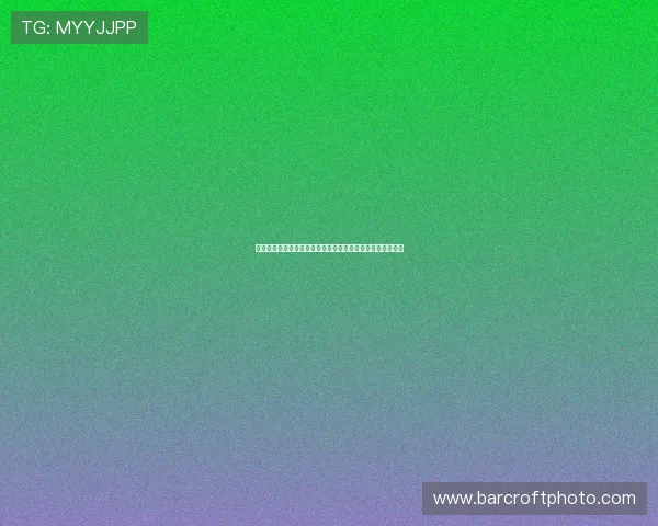 乐鱼官方体育网站带你畅享全球最新赛事资讯与精彩互动体验