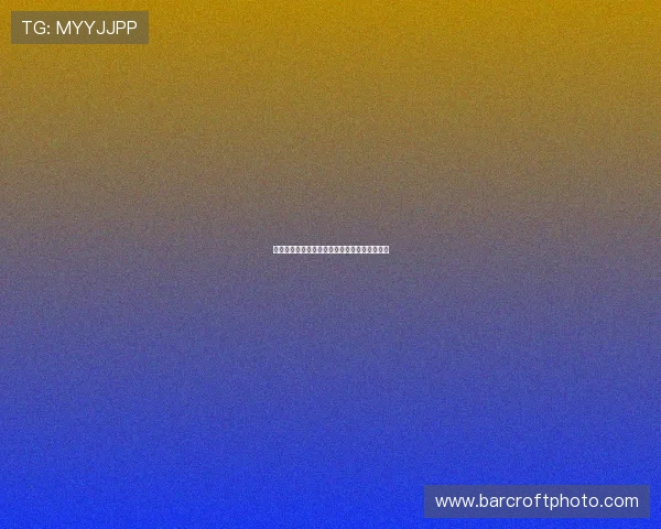 速播体育直播平台全赛事高清在线观看体验指南